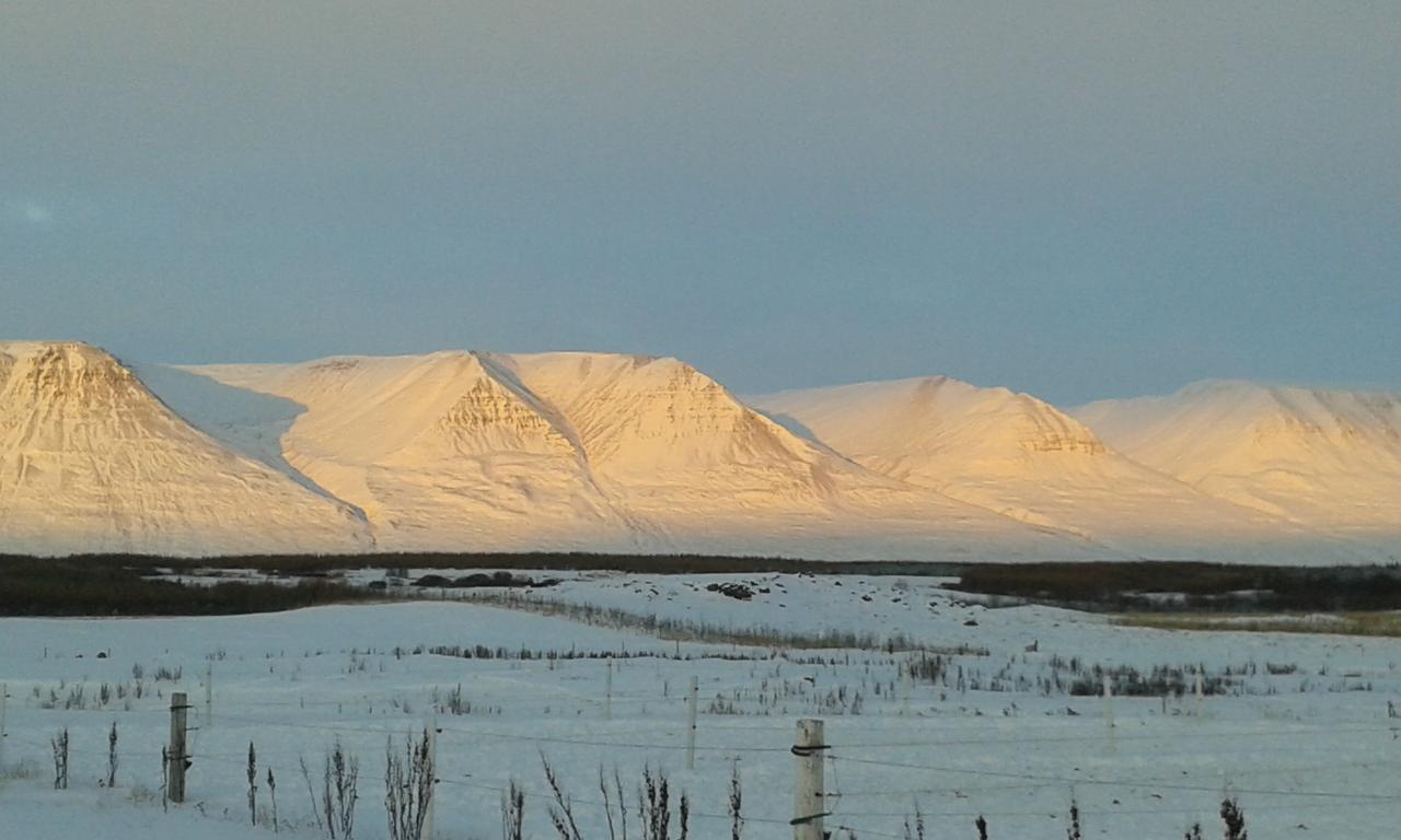 Glaesibaer 2 Guesthouse And Horsefarm Akureyri Exterior foto